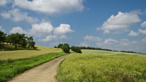 field-175959_1920.jpg 