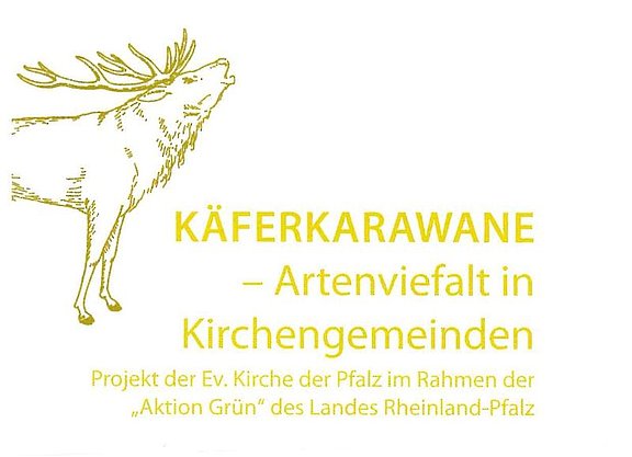 Kaeferkarawanehomepage.jpg 